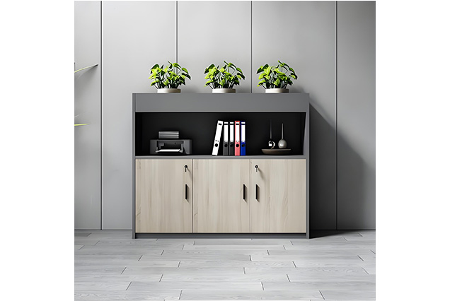 闆式文(wén)件(jiàn)櫃-8